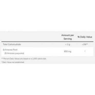 Echinacea 400 mg 100 caps Now foods